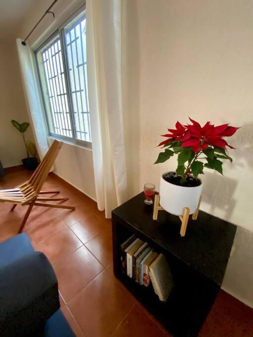 Peach35 Apartamento Centrico, 5 Min De La Playa Cancún Exterior foto